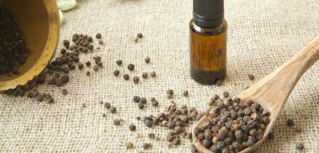 Black Pepper Essential Oil: मिर्च के फायदे ही फायदे है, स्वाद बढ़ाने वाली इस औषधि के बारे में जानिए