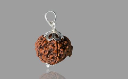 Panch Mukhi Rudraksha : पंचमुखी रुद्राक्ष रुद्राक्ष की महिमा अपरंपार, जानिए इस राशि के जातक को देता है चमत्कारिक लाभ