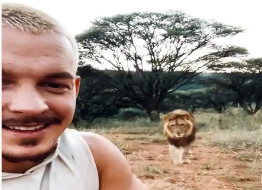 Viral Video : शेर के शिकार का वायरल वीडियो देख आप रह जाएंगे हैरान