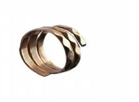 Panchdhatu Ring: इस अंगूठी  को पहनने से नहीं रहती पैसों की कमी, नकारात्मक ऊर्जा का होता है नाश