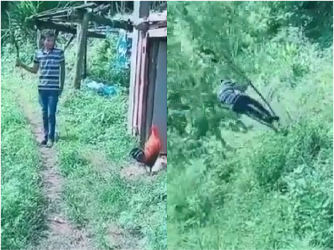 viral video: मुर्गे के चलते शख्स की आफत में पड़ी जान, जान बचाने के लिए करना पड़ा…