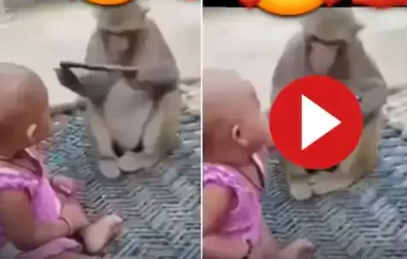 Bandar Ka Video: बंदर की हरकत देख नहीं रुकेगी हंसी, वीडियो हो रहा वायरल