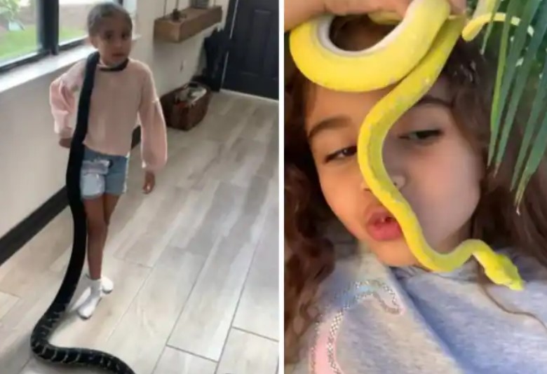 Viral Video: छोटी सी बच्ची को है जहरीले सांपों से खेलने का शौक, वीडियो देख रह जाएंगे दंग