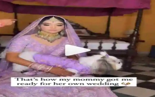Viral Video: शादी में डॉगी और दुल्हन का मैचिंग आउटफिट, देखें वीडियो
