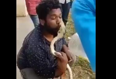 कर्नाटक में सांप के साथ स्टंट करना पड़ गया भारी, सांप ने होठों पर काटा