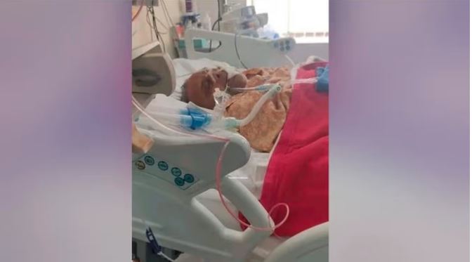 नहीं रहे सपा संरक्षक मुलायम सिंह यादव, मेदांता अस्पताल में ली आखिरी सांस