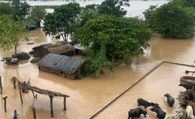 Nepal : नेपाल में मूसलाधार बारिश से बाढ़ की स्थिति , हजारों लोगों को सुरक्षित स्थान पर ले जाया गया