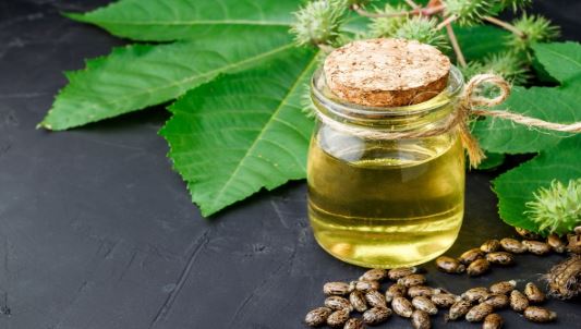 Castor Oil : चेहरे के आकर्षण के लिए करें इस ऑयल से मालिश , नया लुक मिलता है