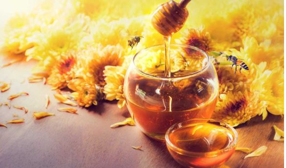 Honey Effects : शहद शरीर के अंदरूनी अंगों को दुरुस्त करता है, जिंदगी को देता है रफ्तार