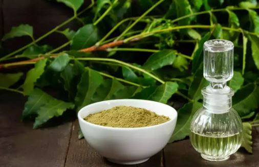 Neem Oil : नीम का तेल सेहत और सौंदर्य दोनों के लिए उपयोगी ,आज ही ट्राई कीजिए