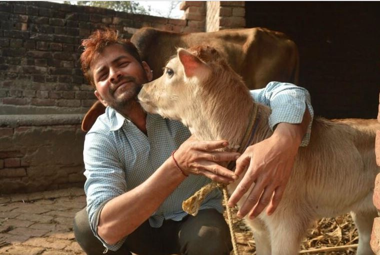 ‘Cow Hug Day’ मामले में बैकफुट पर मोदी सरकार, एनिमल वेलफेयर बोर्ड ने फैसले को लिया वापस