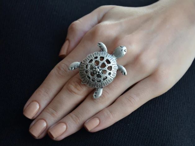 Turtle Ring : इन लोगों को नहीं पहननी चाहिए ये अंगूठी, बड़ा नुकसान होता है