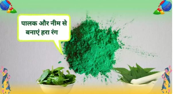 Green Color For Holi : कई तरह की पत्तियों से बनाएं हरा रंग , स्किन को नहीं होगा नुकसान