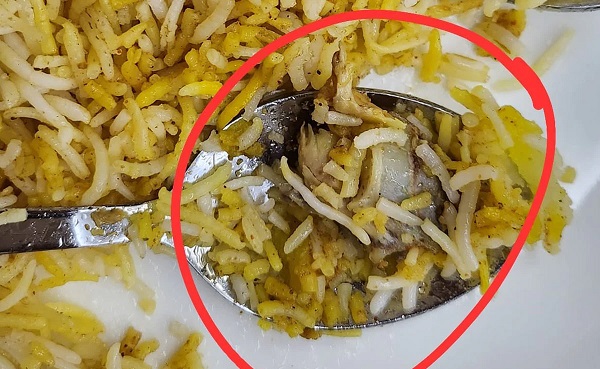 Viral News : लड़की ने स्वीगी से मंगाया ‘आलू वेज बिरयानी’, आलू की जगह निकली हड्डी