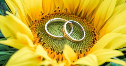 Ranga Ring : रांगे की अंगूठी इस उंगली में पहनने से जल्दी दिखेगा असर, मिलेंगे कई फायदे
