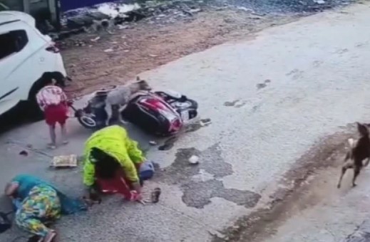 Viral Video: स्कूटी सवार महिला के पीछे पड़े आवारा कुत्ते, वीडियो देख सहम जाएगें आप