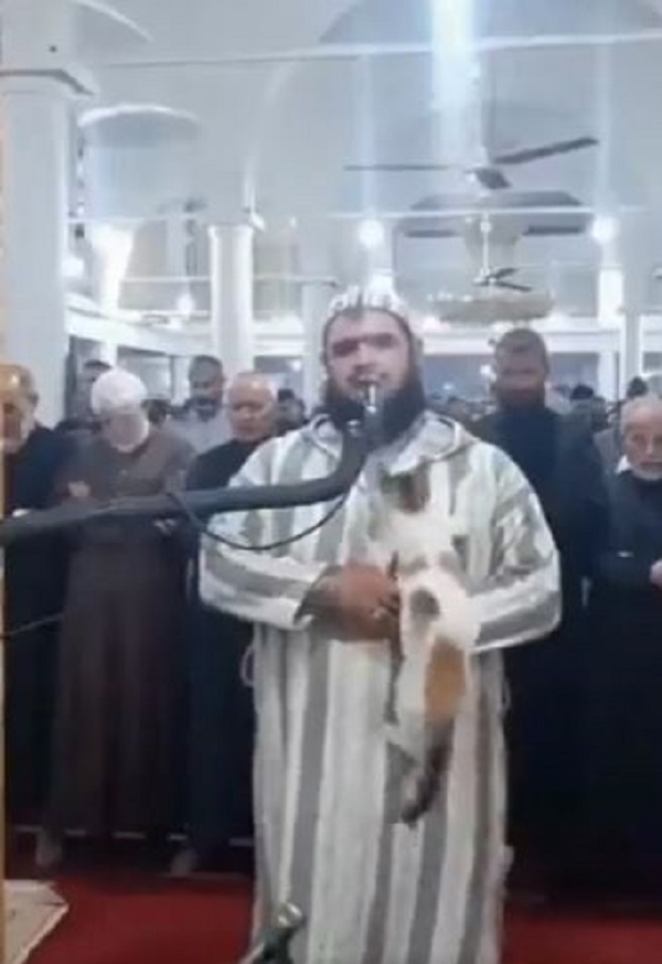 Viral Video: तरावीह की नमाज अदा कर रहे इमाम पर बिल्ली ने लगा दी छलांग, जानें फिर क्या हुआ