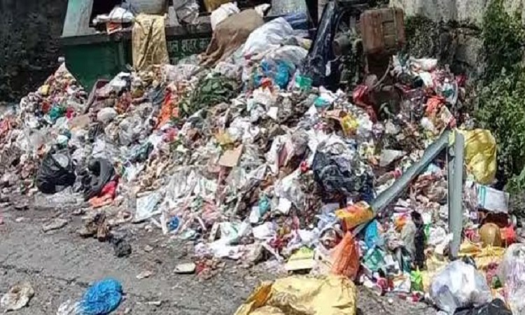 UP News: अब चीनी कंपनी ईकोग्रीन की होगी छुट्टी, ठेकेदारों के काम न करने से शहर में सड़ रहा कचरा!