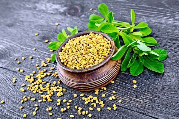 Benefits of Fenugreek Seeds: मेथी दाने के ये चौकाने वाले फायदें जान कर रह जाएंगे हैरान, सेवन करने से होते है ये लाभ