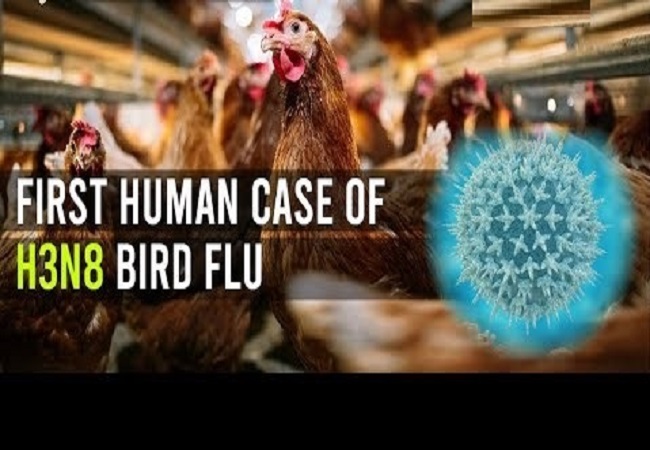 चीन में नए वायरस H3N8 बर्ड फ्लू से पहली बार इंसान की मौत, 56 साल की महिला ने तोड़ा दम