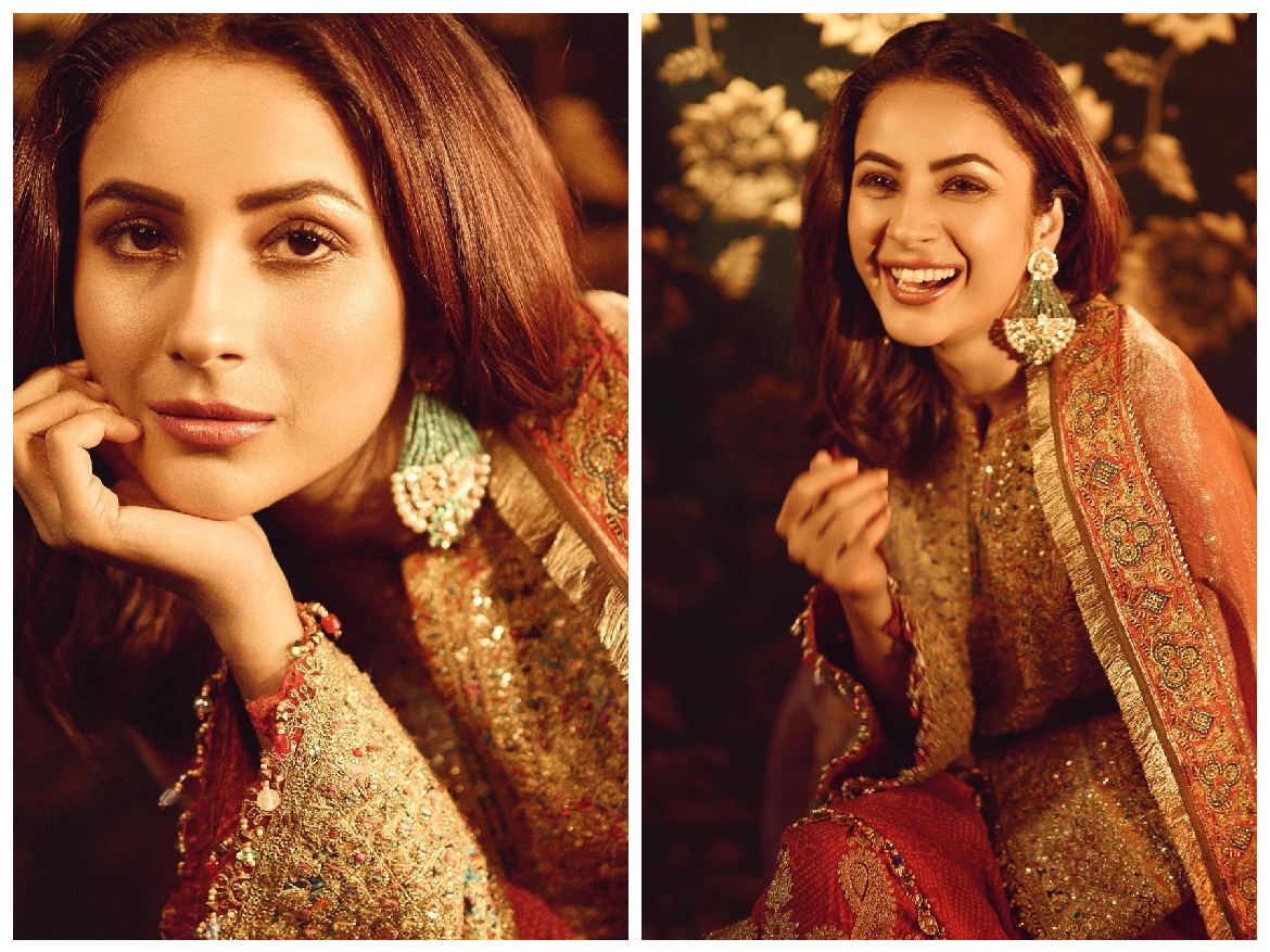 Elegant Look के साथ Shahnaz Gill ने शेयर की बेहद खूबसूरत तस्वीरें, फैंस ने दिये गज़ब रिएक्शन