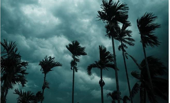 Monsoon Update : केरल के बाद कुछ घंटों में कर्नाटक-तमिलनाडु में दस्तक देगा, उत्तर भारत में एक हफ्ते मारेगा एंट्री