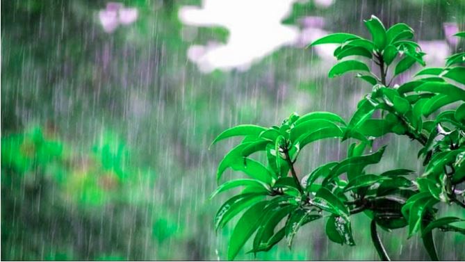 UP Weather News : इन राज्यों में 20 मई तक भारी बारिश के आसार, अगले पांच दिन आपके इलाके में कैसा रहेगा मौसम?