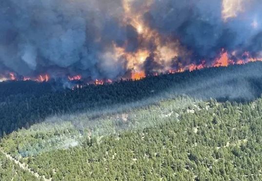 Canada Forest Fire : कनाडा के जंगलों में लगी आग, धुंध की एक परत छा गई