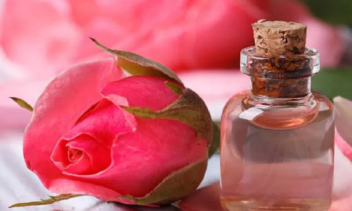 Amazing Price Damask Rose : इस गुलाब के तेल की कीतम जान कर मुंह खुला रह जाएगा, जानें क्यों है इतना महंगा
