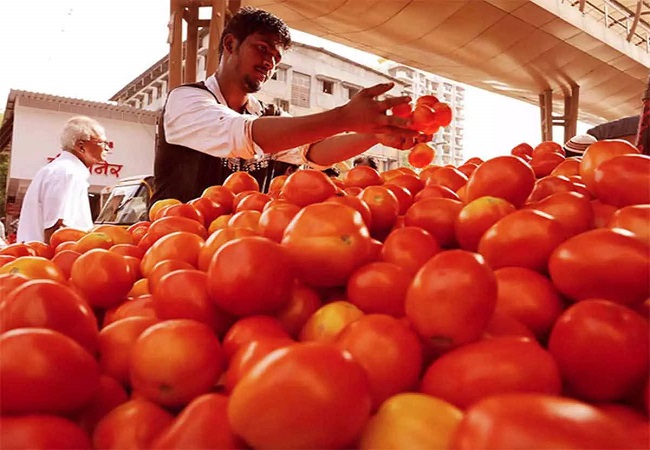 Tomato Price Hike : सरकार ने बताया टमाटर की आसमान छू रही कीमतों से कब मिलेगी राहत?