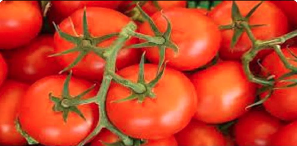 Tomato Price Hike : टमाटर की कीमतों में लगी आग, आम जनता का बिगड़ गया बजट