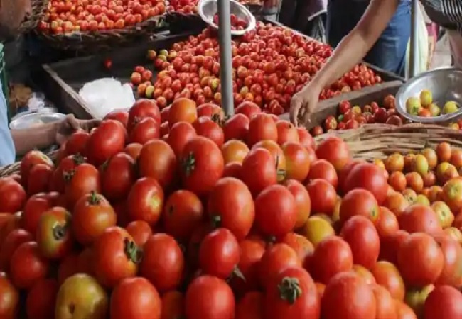 Tomato Rate : टमाटर के दाम पर लगेगा ब्रेक! जल्द मिलेगी महंगाई से राहत