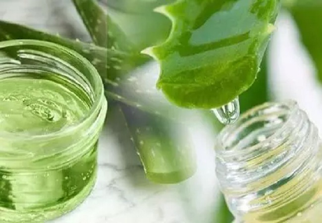 make 100 percent pure and chemical free aloe vera gel at home.