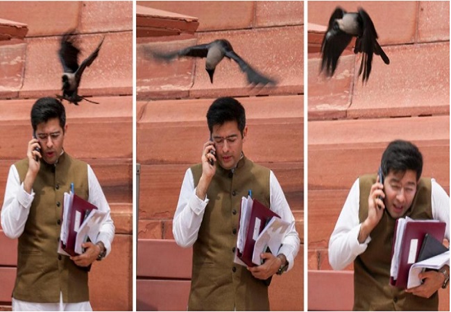 Aam Aadmi Party's Rajya Sabha MP Raghav Chadha