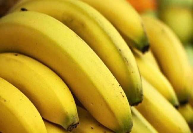 Benefits of Eating Banana: ब्रेकफास्ट में शामिल करें केला, पाचन को बेहतर बनाने के साथ ही शरीर को तुरंत पहुंचा है एनर्जी