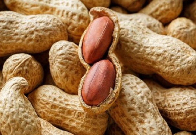 Benefits of Peanuts: अच्छी याददाश्त और दिमाग तेज करने के लिए खाएं मूंगफली