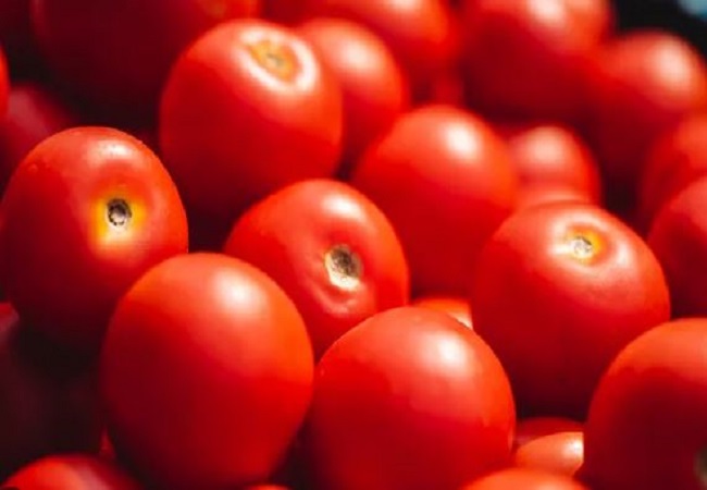 Free Tomatoes