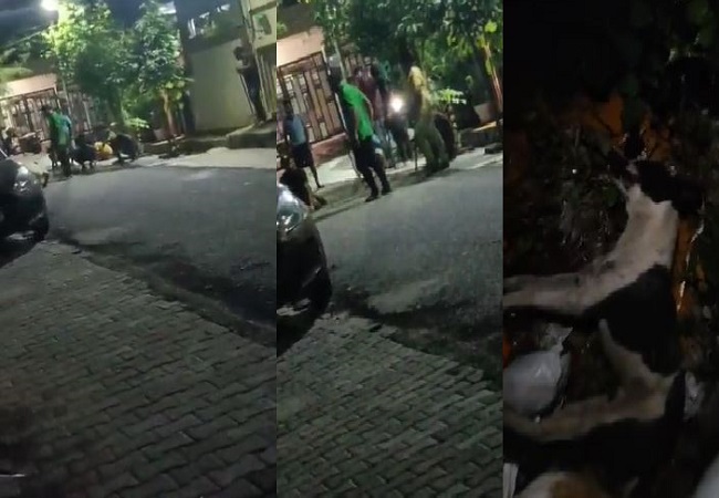 Viral Video: कुत्ते के साथ हैवानियत, दर्जनों लोगों ने कुत्ते को पकड़ पहले बांधे हाथ पैर और फिर पीट पीट कर उतार दिया मौत के घाट