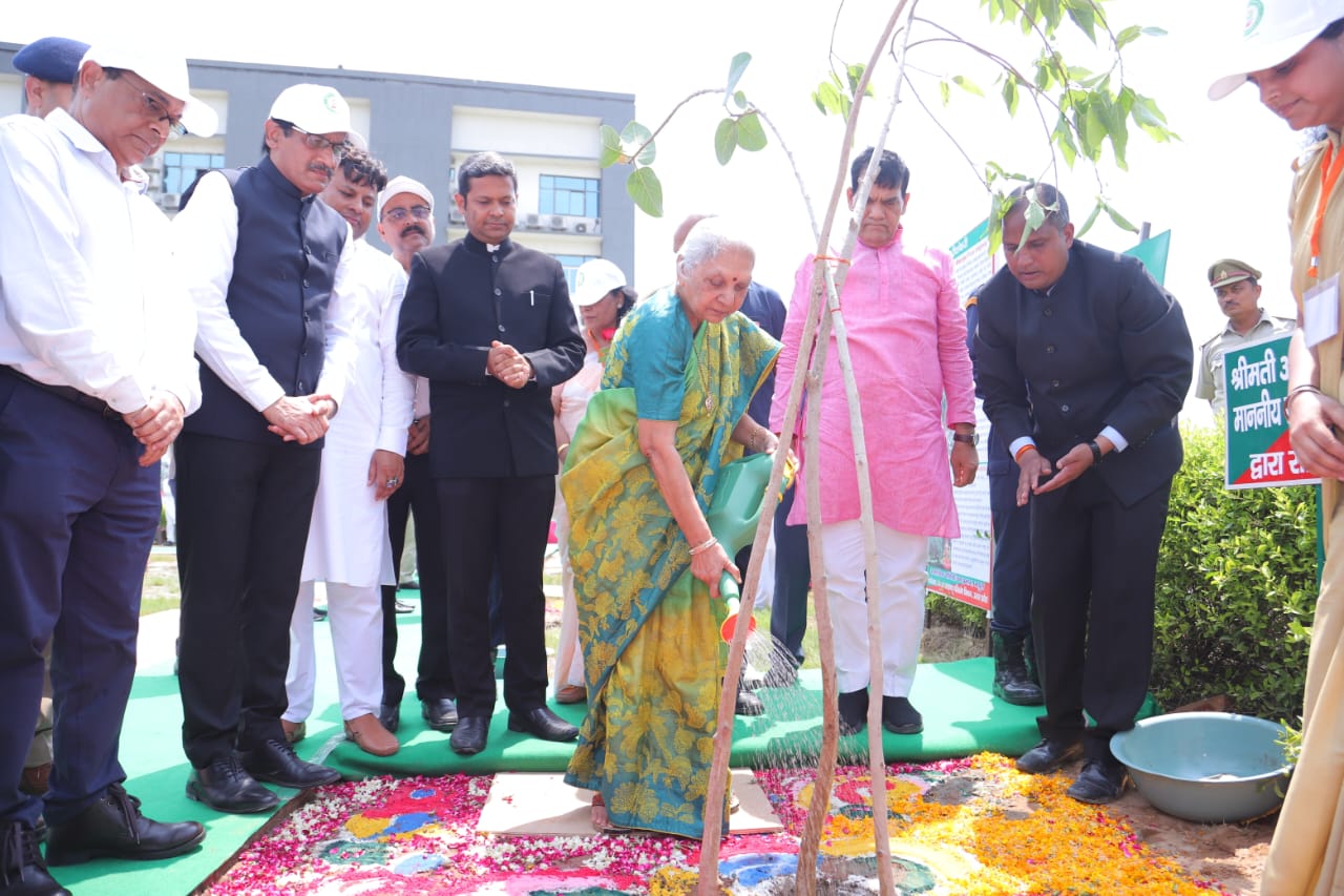 मथुरा संस्कृति विश्वविद्यालय परिसर में राज्यपाल आनन्दीबेन पटेल ने किया पौधारोपण, जनपद में 30.24 लाख पौधे रोपे गए