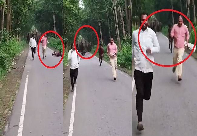 Viral Video: हाथियों के साथ सेल्फी लेना पड़ा महंगा, सर पर पैर रख भागकर तीन युवकों ने बचाई अपनी जान