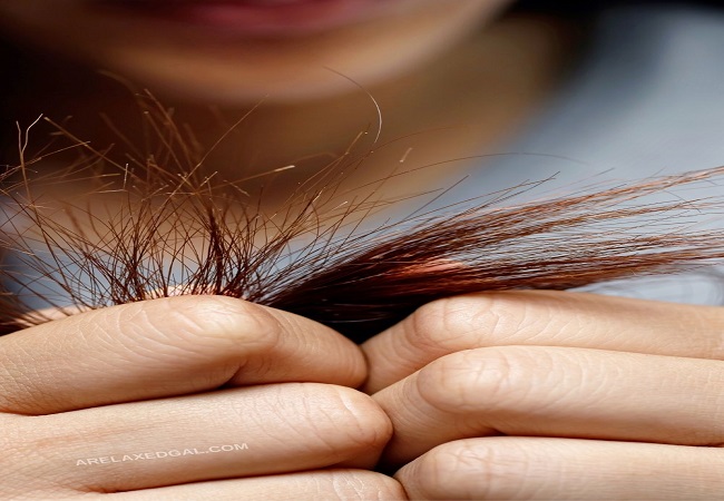 Hair CareTips: बारिश में दोमुहें बालों से हैं परेशान, तो अपनाएं ये टिप्स