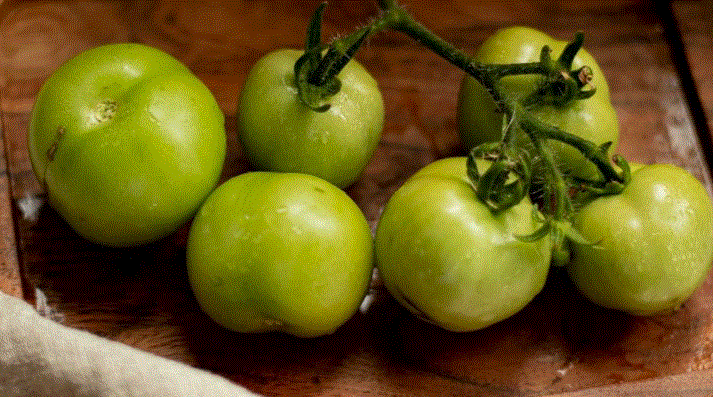 Green Tomato Benefits : लाल टमाटर को हरे टमाटर दे दें चुनौती , सेहत और स्वाद दोनों के लिए है परफेक्ट