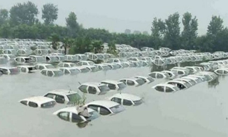 Noida News: पानी में डूब गईं सैकड़ों कारे…हिंडन नदी का जलस्तर बढ़ने से बढ़ी परेशानी
