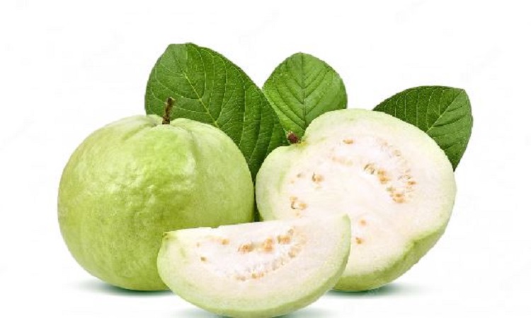 Benefits of Guava:डायबिटीज मरीजों के लिए औषधि से कम नहीं है अमरुद, खाने से होते हैं ये फायदें