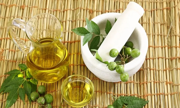 Benefits of Neem Oil: स्किन की इन समस्याओं से पाएं छुटकारा, डेली स्किन केयर रुटीन में शामिल करें नीम का तेल