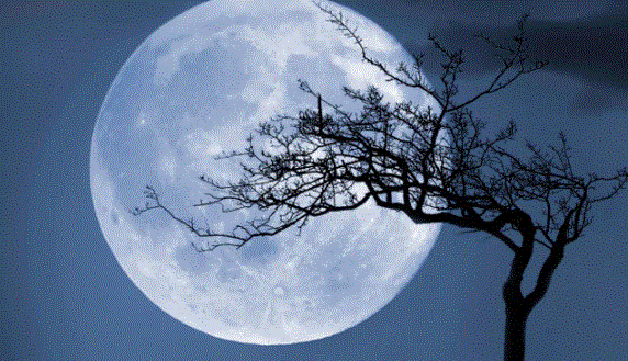Super Blue Moon : अद्भुत ब्लू मून आज देखने को मिलेगा, दुर्लभ नजारा दिखाई पड़ता है