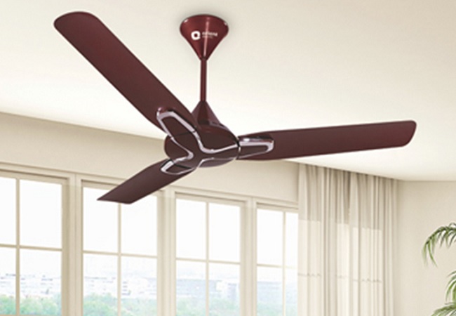 Ceiling Fan Tips : अगर धीमा चल रहा है पंखा, तो पंखुड़ी के साथ करें ये काम, तेज रफ्तार के साथ देगा ठंडी हवा