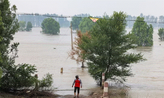 China Flood : चीन में बाढ़ से बर्बाद हुई फसल, तूफान डोकसूरी की वजह से हो रही है भीषण बारिश