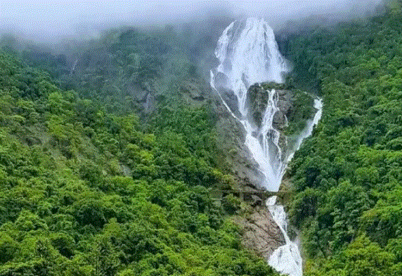 Dudhsagar Waterfalls : दूधसागर वॉटरफॉल टूरिस्टों को मंत्रमुग्ध कर देता है, देखने दूर-दूर से सैलानी आते हैं