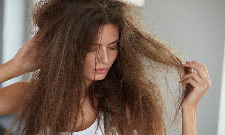 Hair Care Tips: सुबह-सुबह सोकर उठते ही खड़े खड़े रुखे और बेजान नजर आते हैं, आपके बाल तो फॉलों करें ये टिप्स
